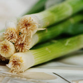 Hectarul - Seminte Praz Starozagorski 72 GeosemSelect 5 g